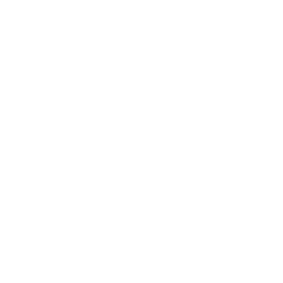 skill_logo